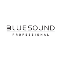 Bluesound Audio
