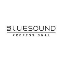 Bluesound Audio